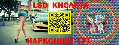 прущие грибы Будённовск