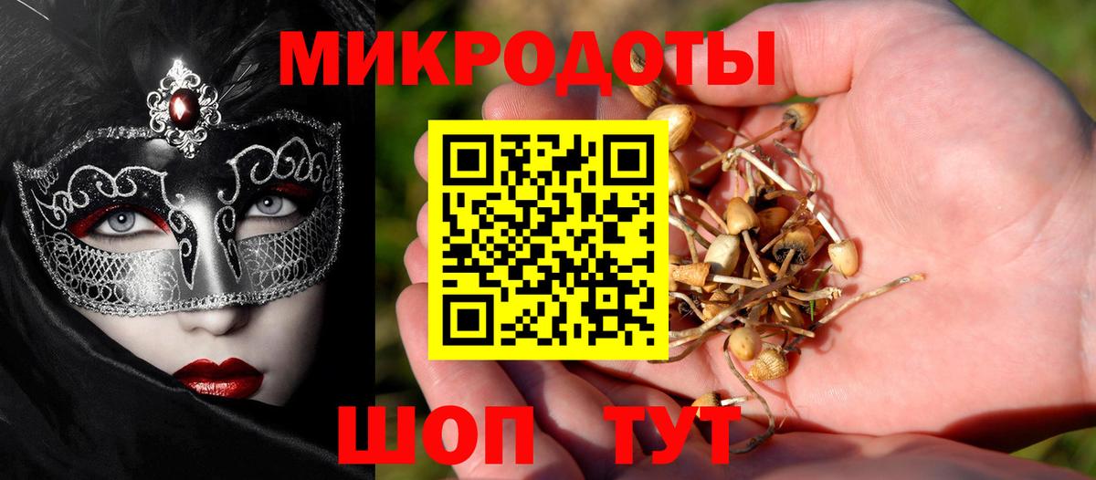 Королёв  Псилоцибиновые грибы Psilocybine cubensis  Вход с VPN  Галлюциногенные грибы Psilocybine cubensis 